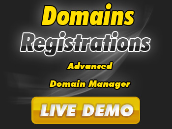Economical domain name service providers